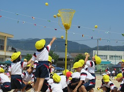 Photo_12 Photo_12