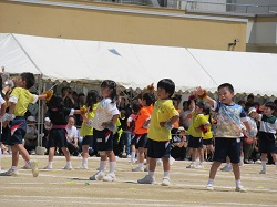 Photo_7 Photo_7