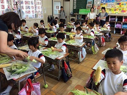 Photo_2