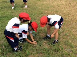 Photo_2 Photo_2