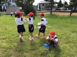 Photo_3 Photo_3